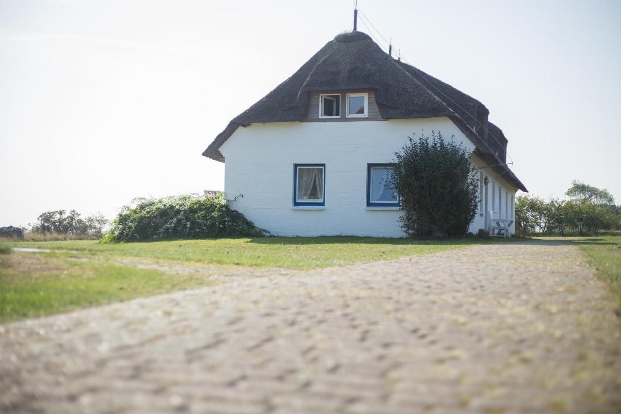 Haus Bräätlun Ferienwohnung Bräätlun 3 Norddorf auf Amrum Exterior foto